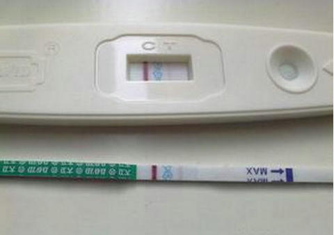 Dr. Zhang